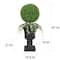 3.5ft. Topiary Boxwood Artificial Tree in Decorative Urn